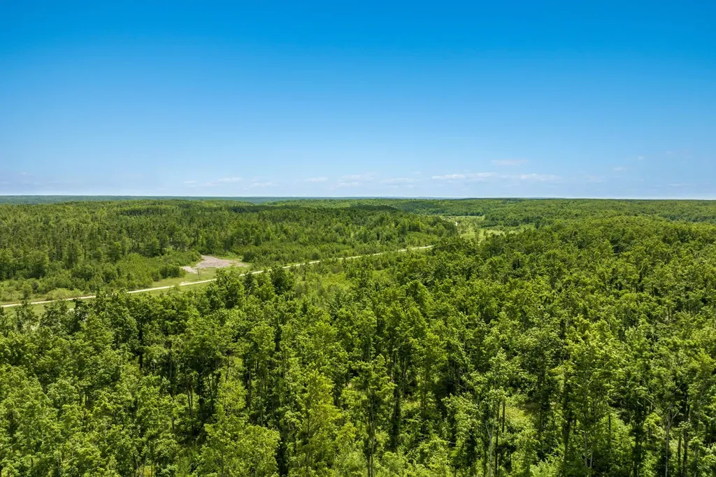00 Mount Frederic Road Frederic Township MI 49733