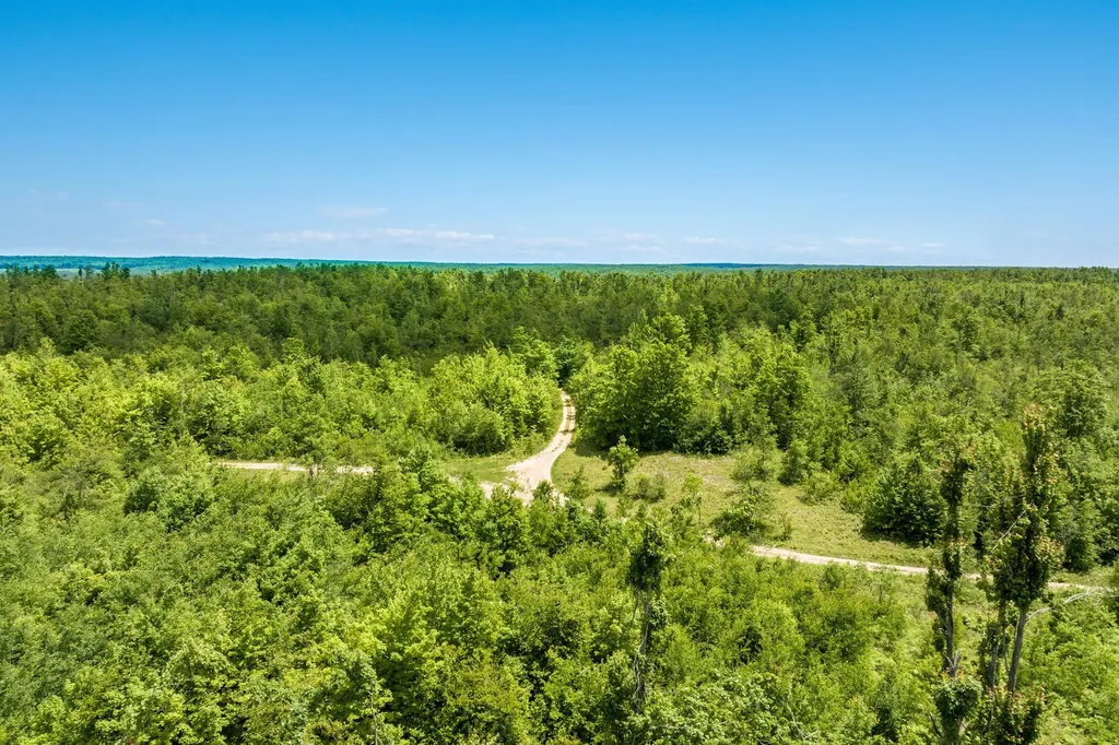 00 Mount Frederic Road Frederic Township MI 49733