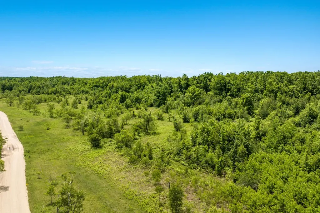 00 Mount Frederic Road Frederic Township MI 49733