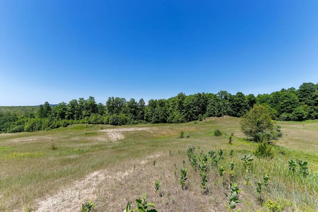 000 Nessen City Road Cleon Township MI 49625