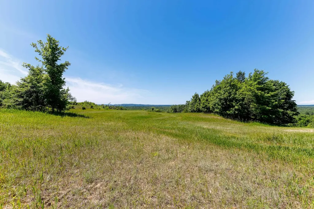 000 Nessen City Road Cleon Township MI 49625
