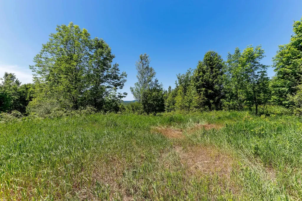 000 Nessen City Road Cleon Township MI 49625