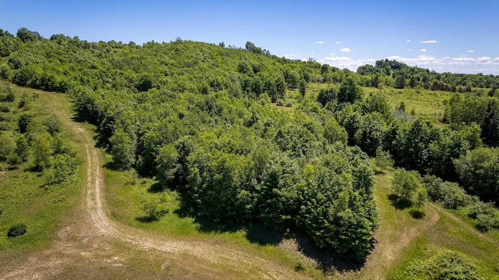 000 Nessen City Road Cleon Township MI 49625