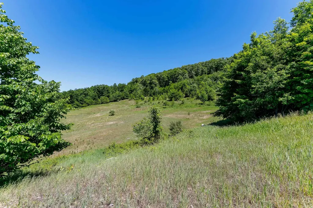 000 Nessen City Road Cleon Township MI 49625