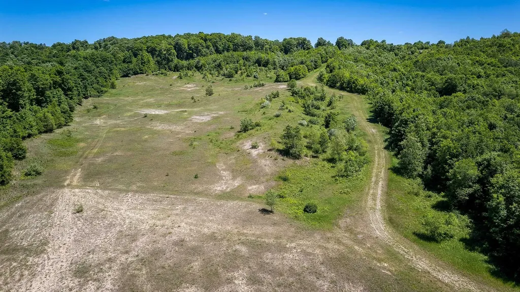 000 Nessen City Road Cleon Township MI 49625