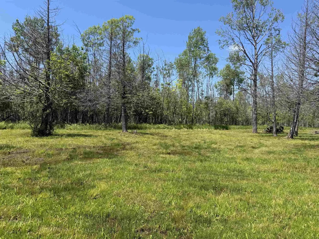 6263 East Jordan Road Banks Township MI 49729