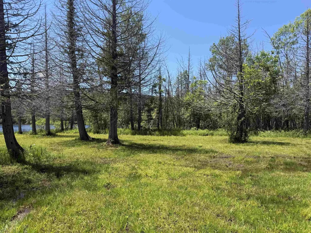 6263 East Jordan Road Banks Township MI 49729