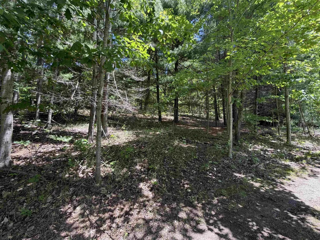 6263 East Jordan Road Banks Township MI 49729