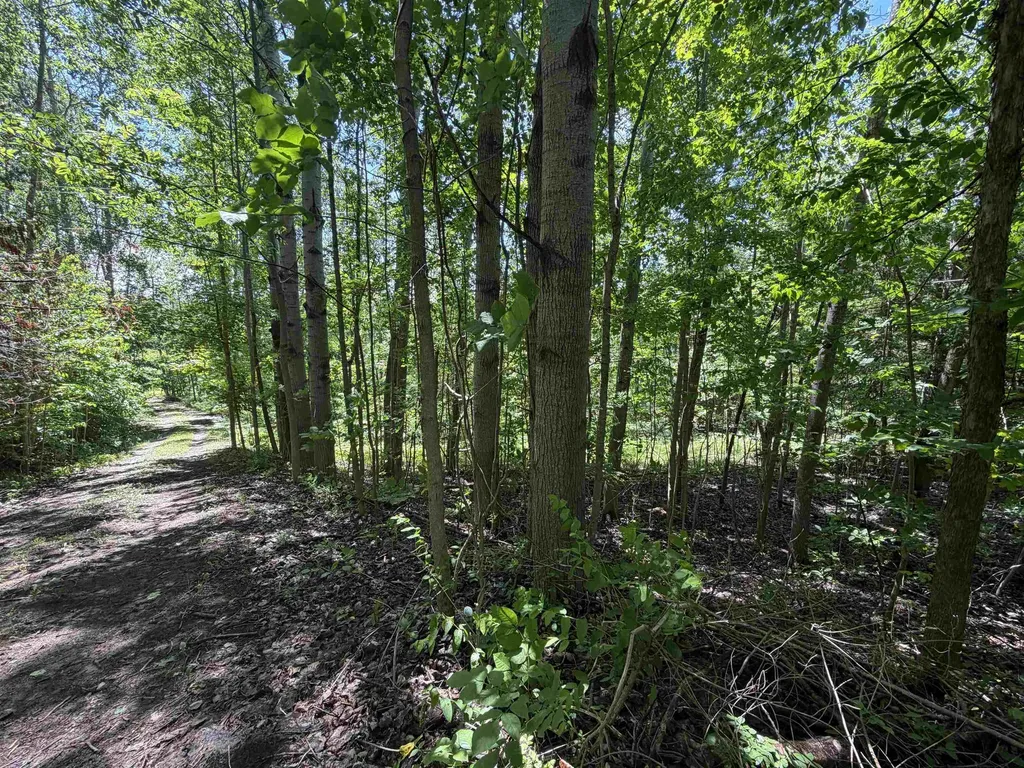 6263 East Jordan Road Banks Township MI 49729