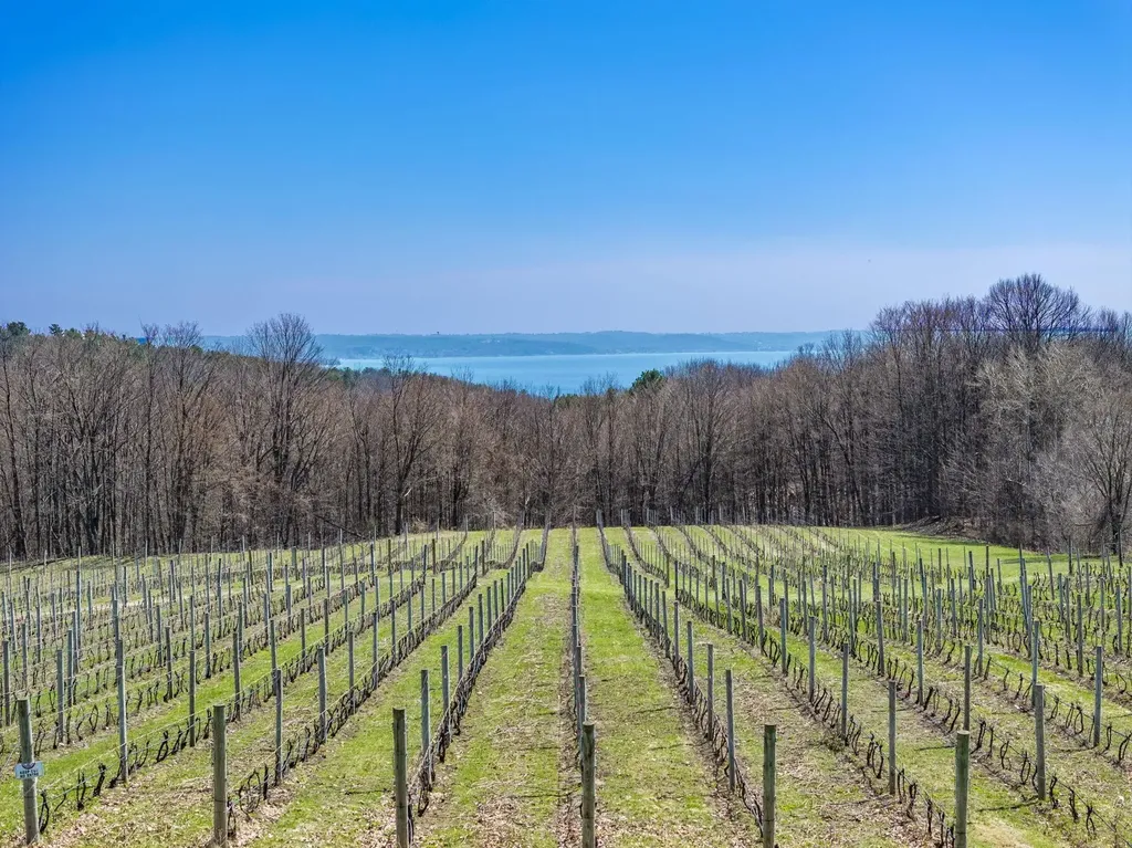 2770 Nelson Road Peninsula Township MI 49686