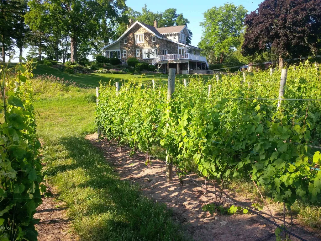 2770 Nelson Road Peninsula Township MI 49686