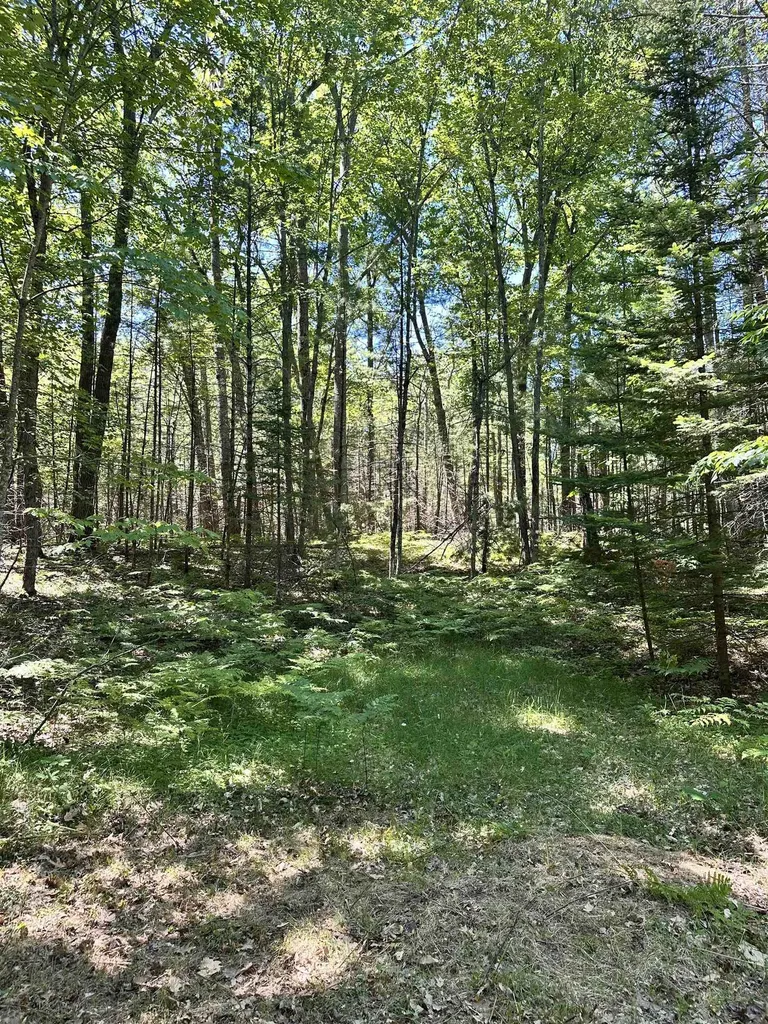 11556 Hillcrest Boulevard Bear Lake Township MI 49646