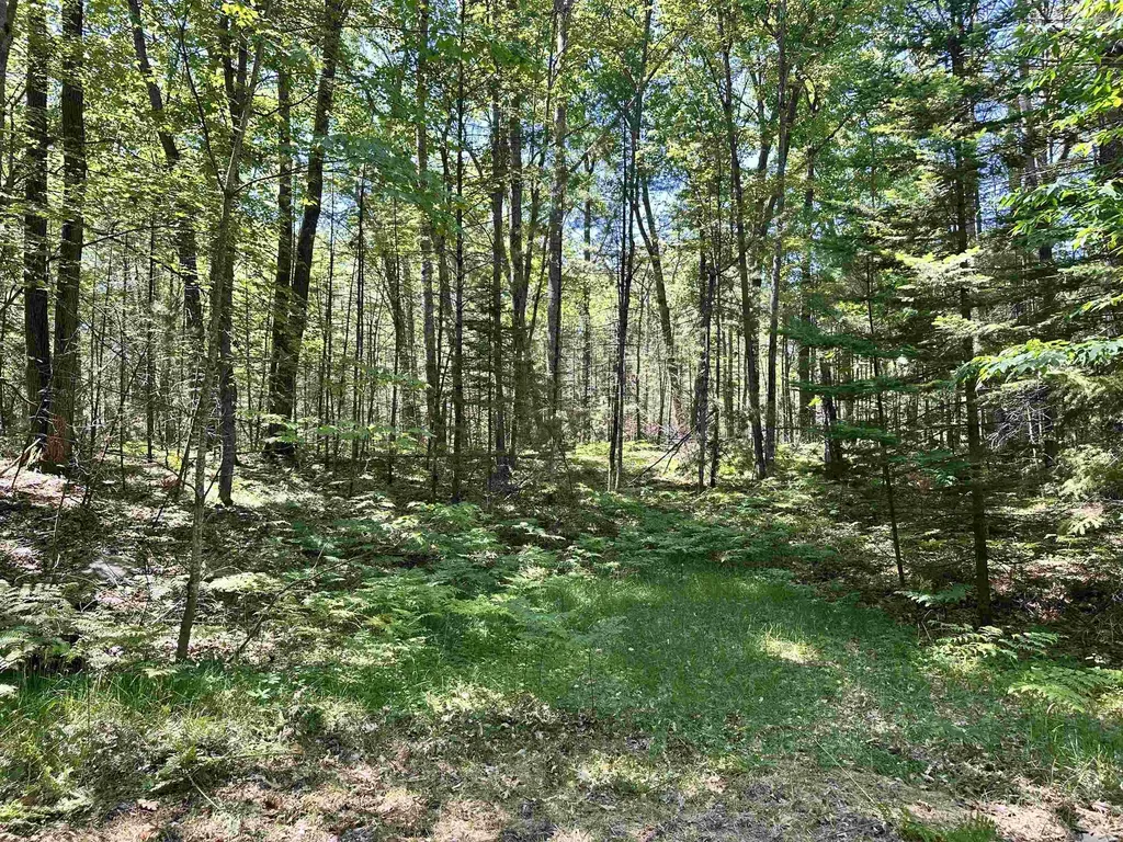 11556 Hillcrest Boulevard Bear Lake Township MI 49646
