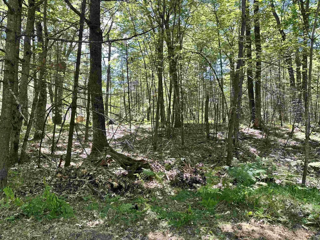 11556 Hillcrest Boulevard Bear Lake Township MI 49646