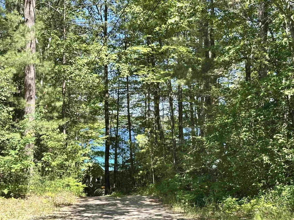 11556 Hillcrest Boulevard Bear Lake Township MI 49646