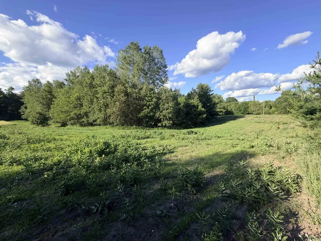 16695 20th Avenue Middle Branch Township MI 49665