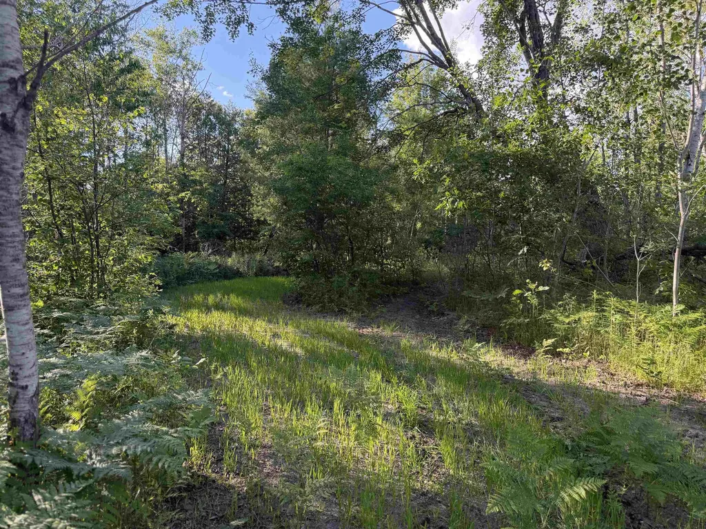 16695 20th Avenue Middle Branch Township MI 49665