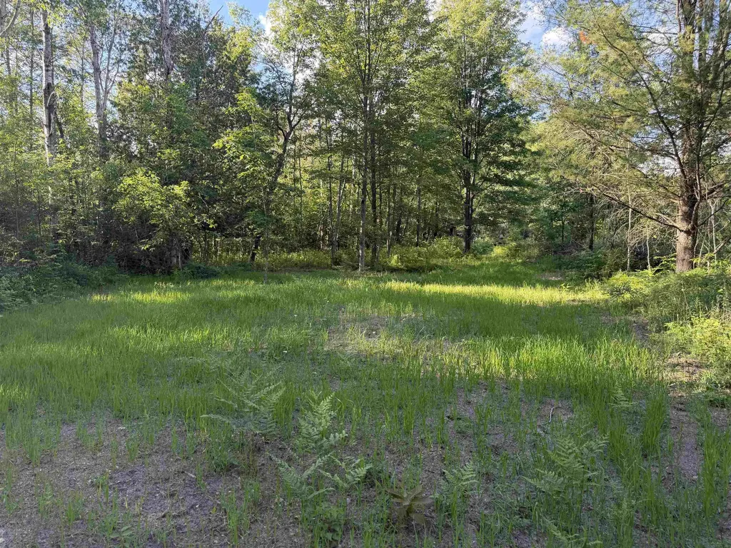 16695 20th Avenue Middle Branch Township MI 49665