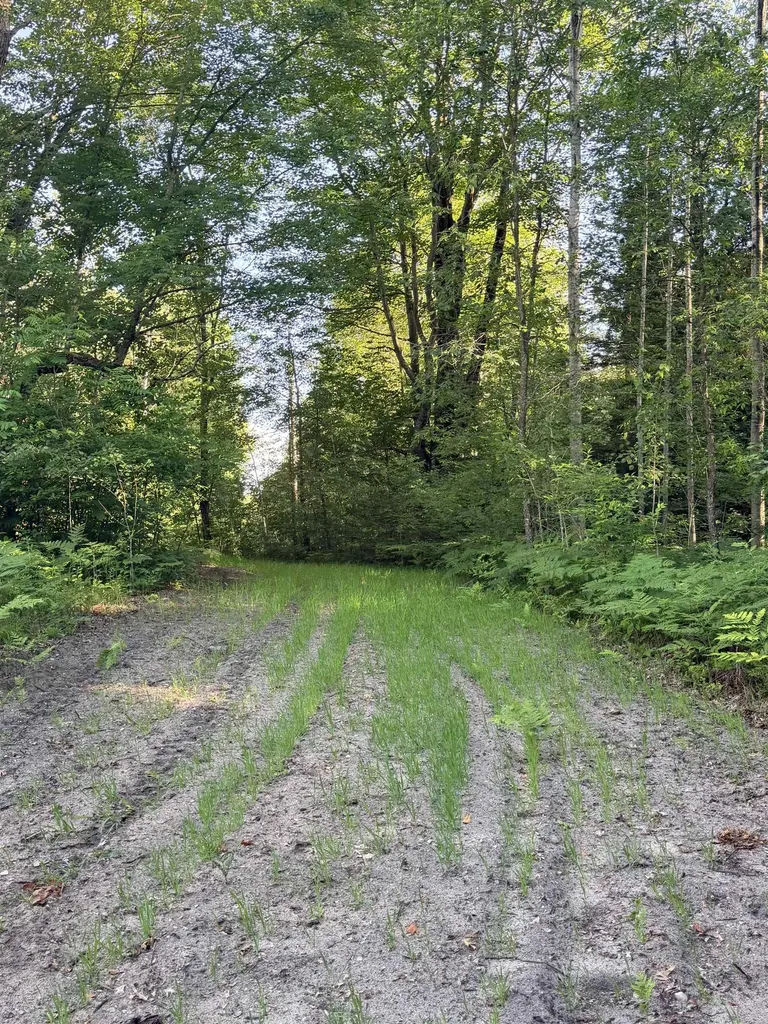 16695 20th Avenue Middle Branch Township MI 49665