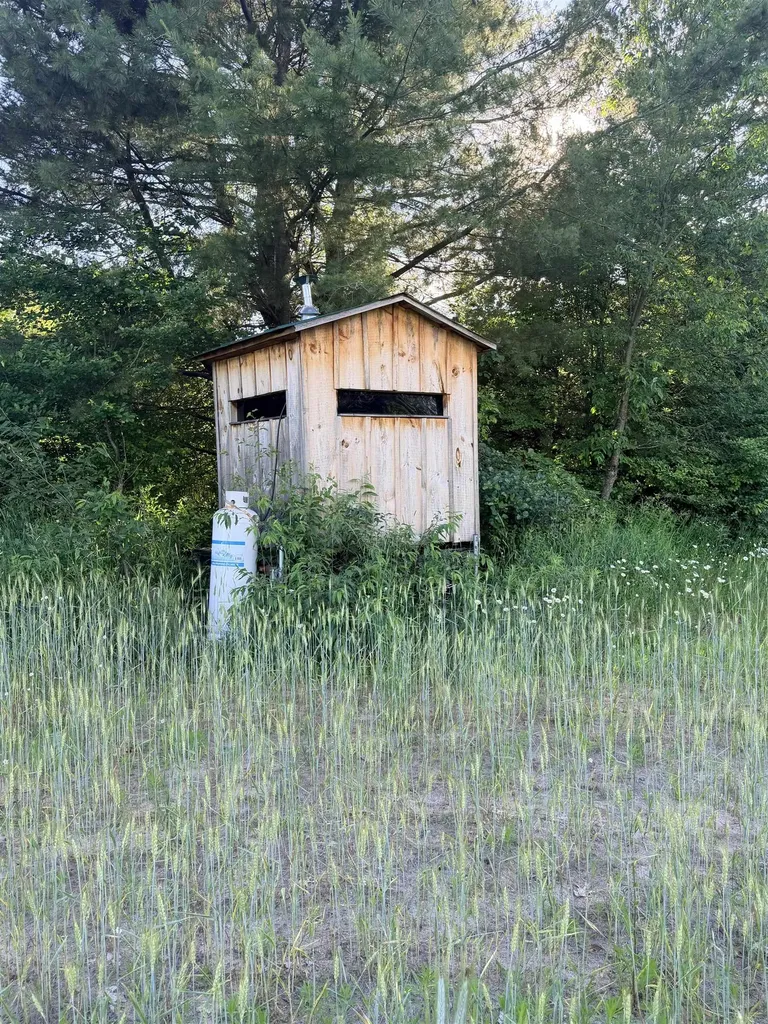 16695 20th Avenue Middle Branch Township MI 49665