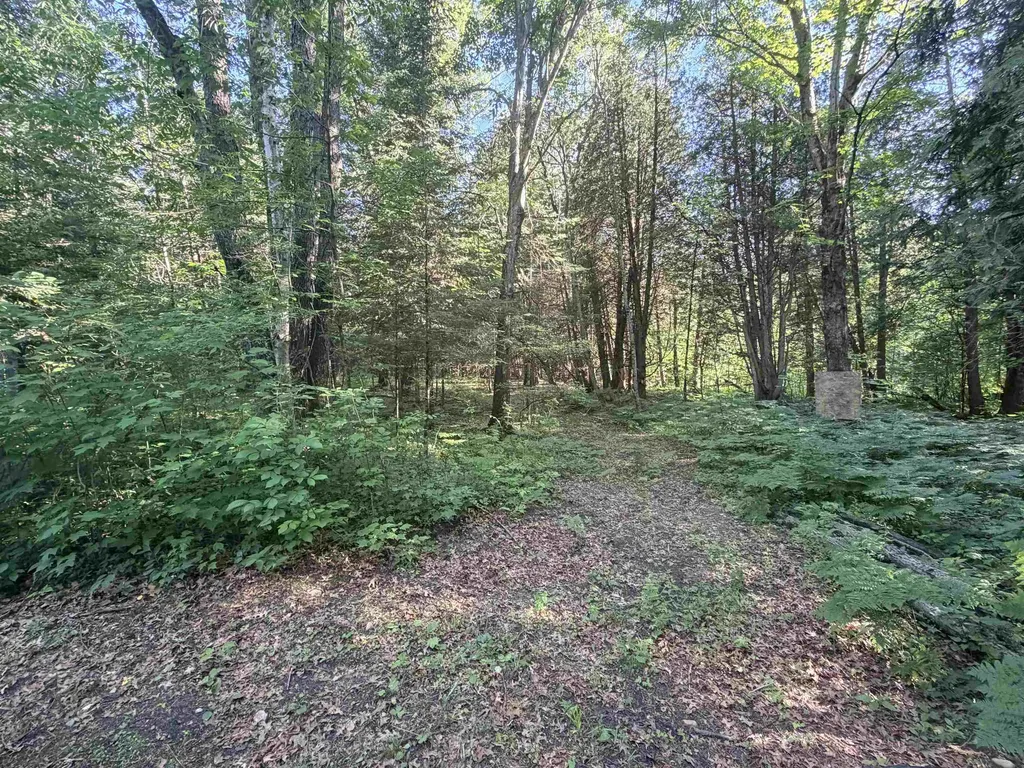 16695 20th Avenue Middle Branch Township MI 49665
