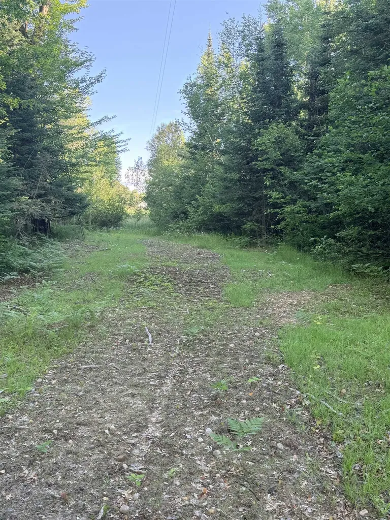 16695 20th Avenue Middle Branch Township MI 49665