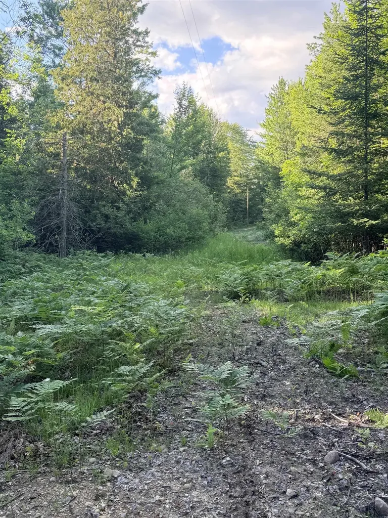 16695 20th Avenue Middle Branch Township MI 49665