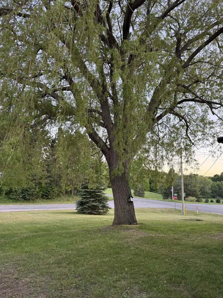 7981 S Maple City Road Cleveland Township MI 49664