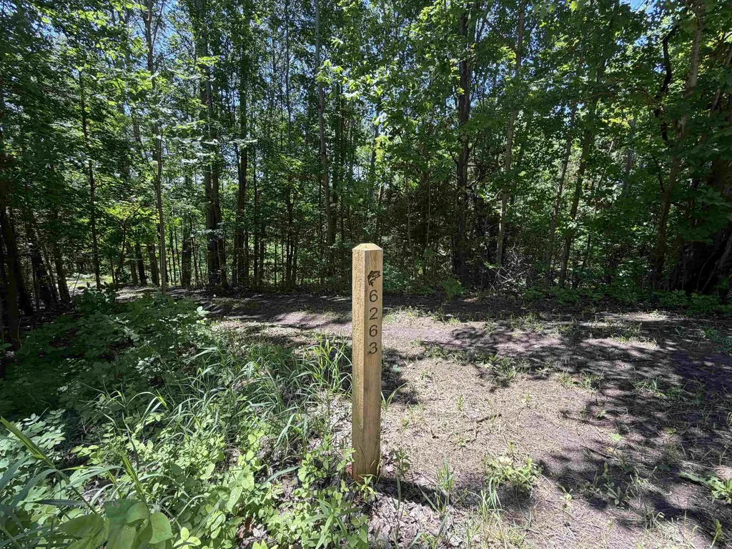 6263 East Jordan Road Banks Township MI 49729