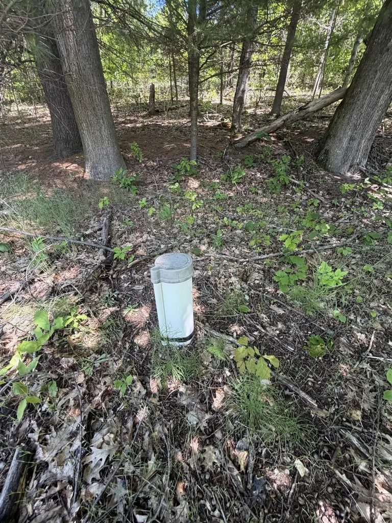 6263 East Jordan Road Banks Township MI 49729