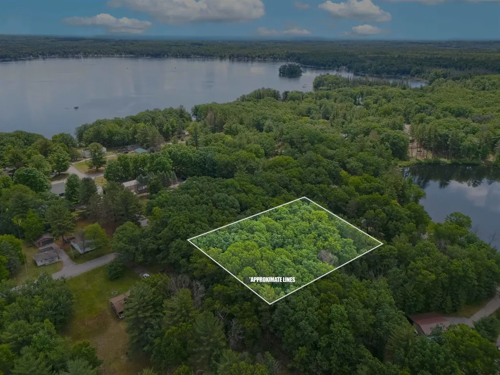 Vl Shelby Street Fife Lake Township MI 49633