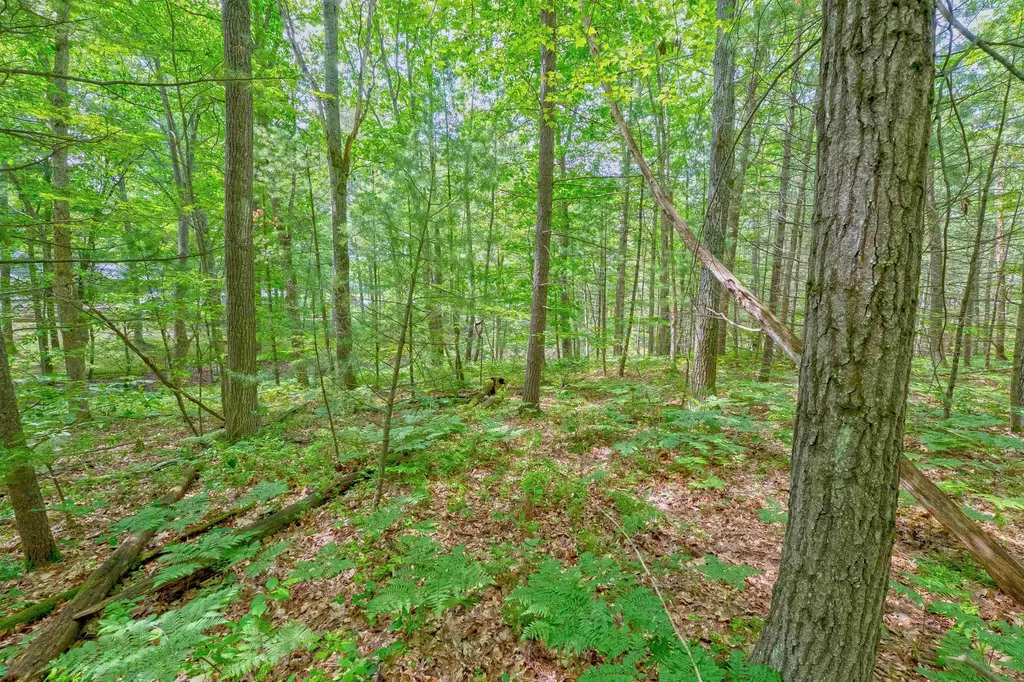 Vl Shelby Street Fife Lake Township MI 49633