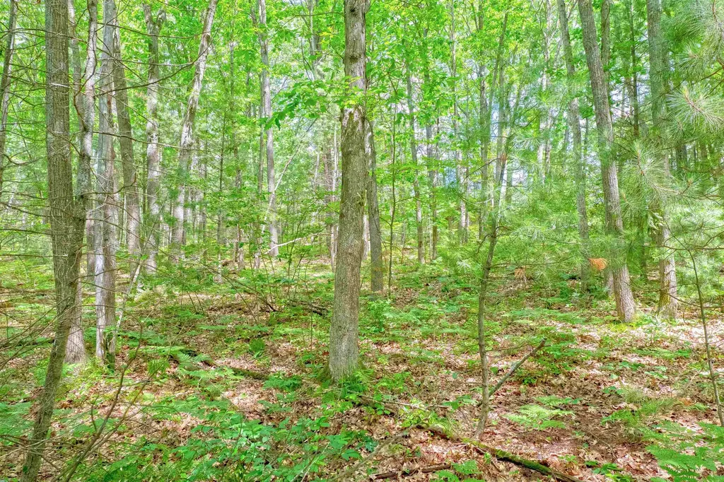Vl Shelby Street Fife Lake Township MI 49633