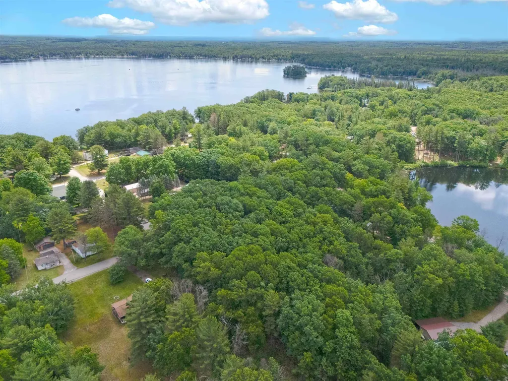 Vl Shelby Street Fife Lake Township MI 49633
