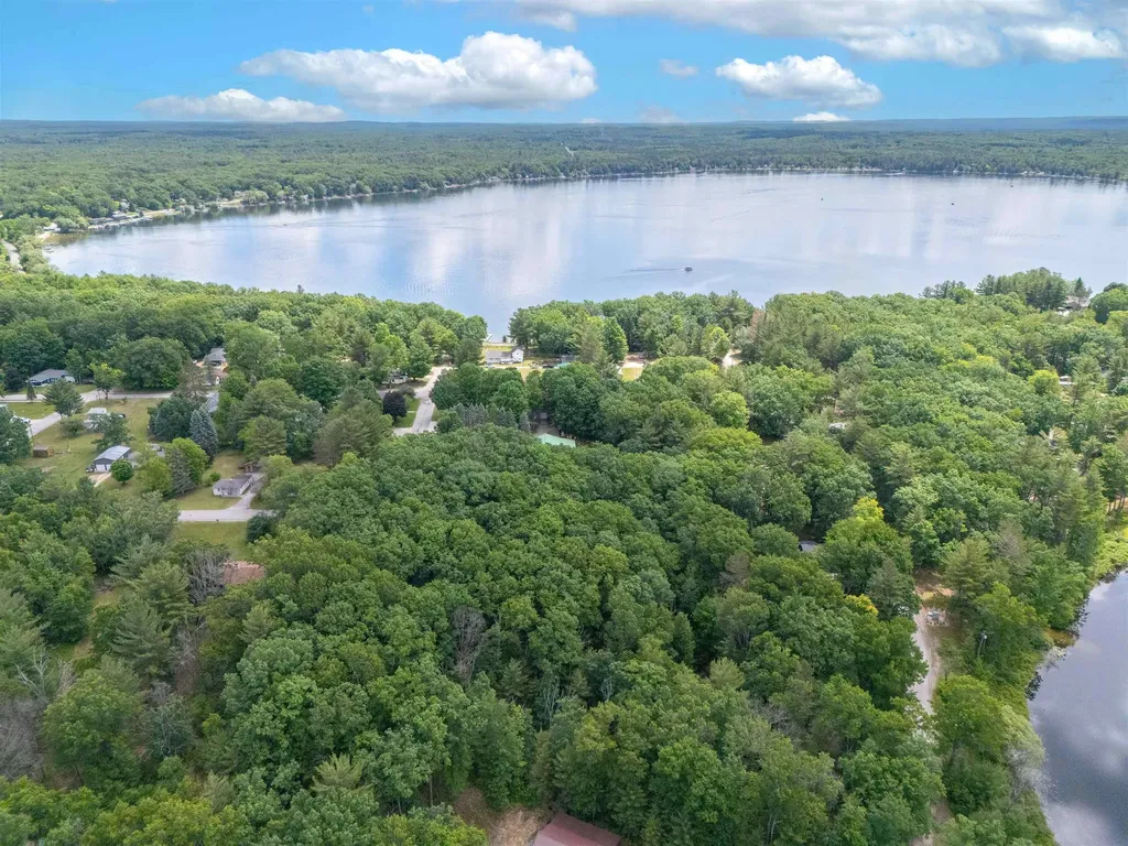 Vl Shelby Street Fife Lake Township MI 49633