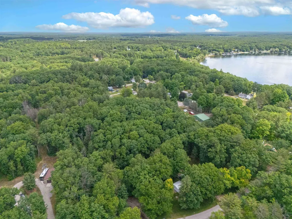 Vl Shelby Street Fife Lake Township MI 49633