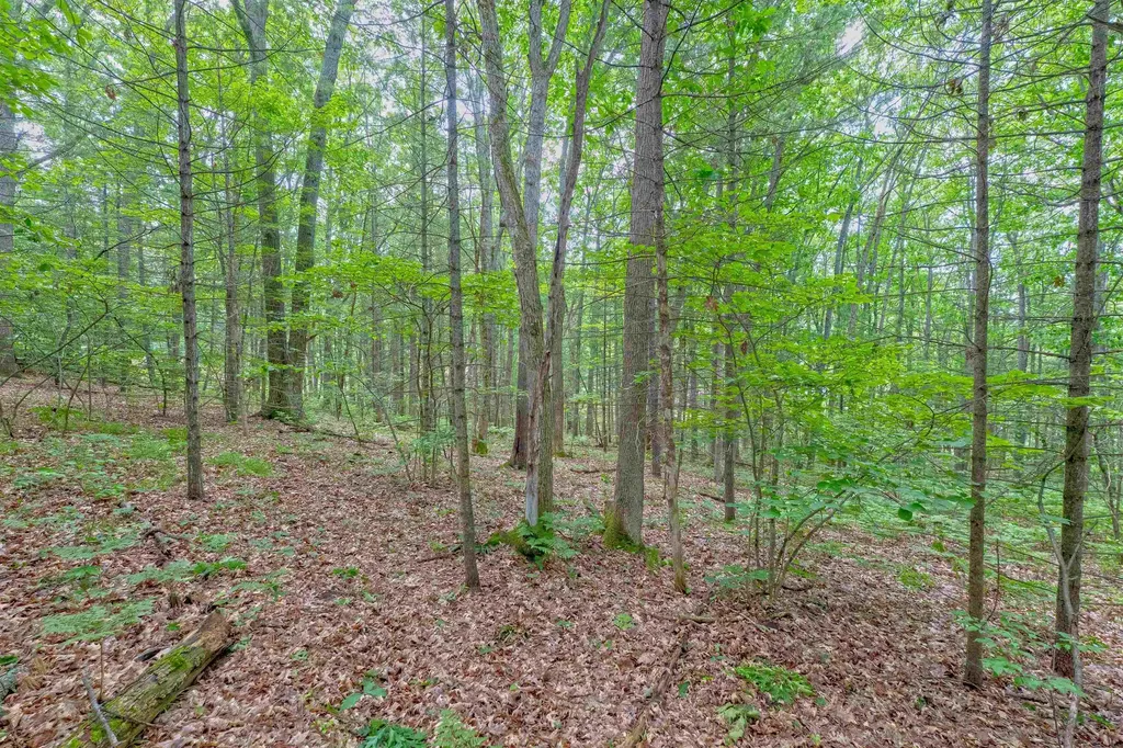 Vl Shelby Street Fife Lake Township MI 49633