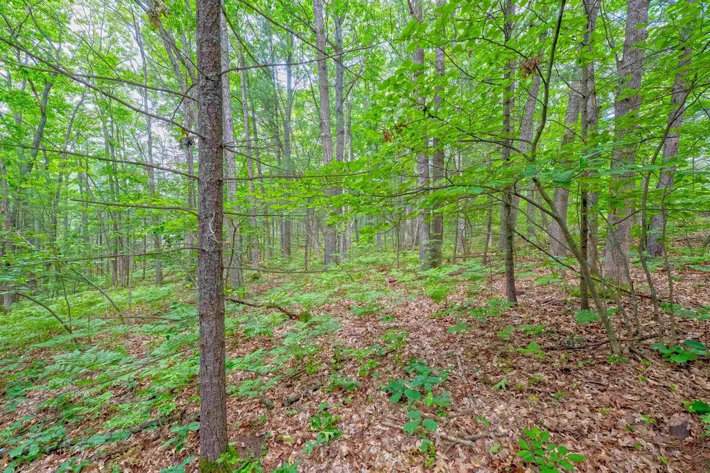 Vl Shelby Street Fife Lake Township MI 49633