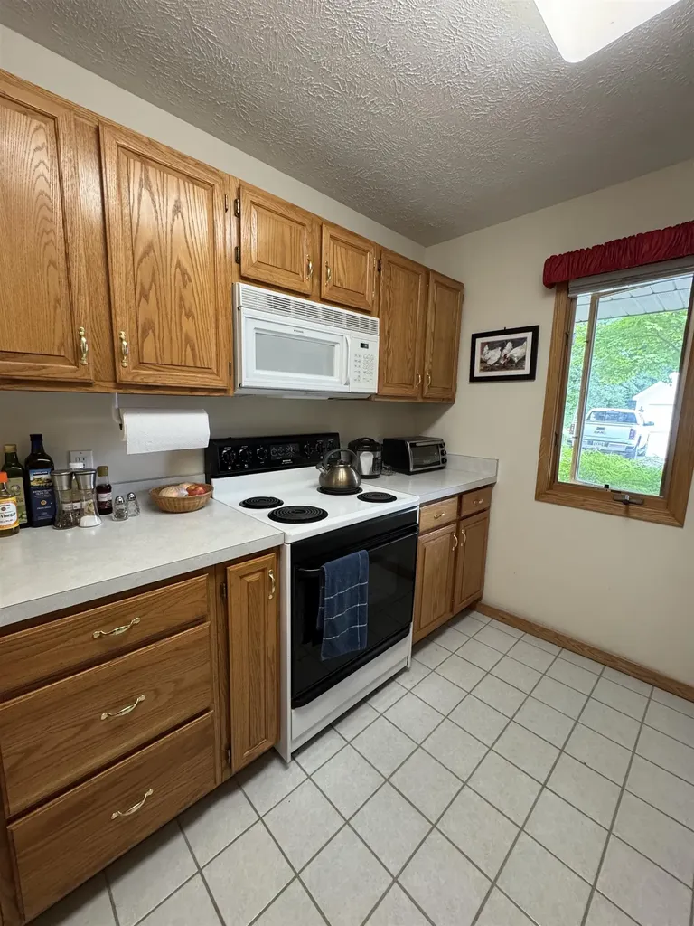 723 N Apple Tree Drive Suttons Bay Township MI 49682