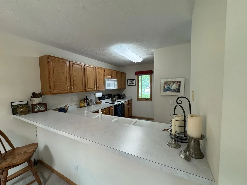 723 N Apple Tree Drive Suttons Bay Township MI 49682
