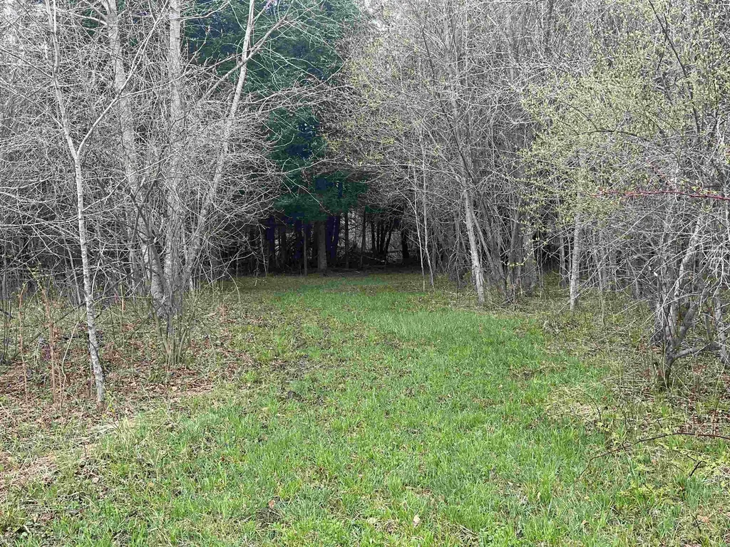 0 Wallen Road Colfax Township MI 49643