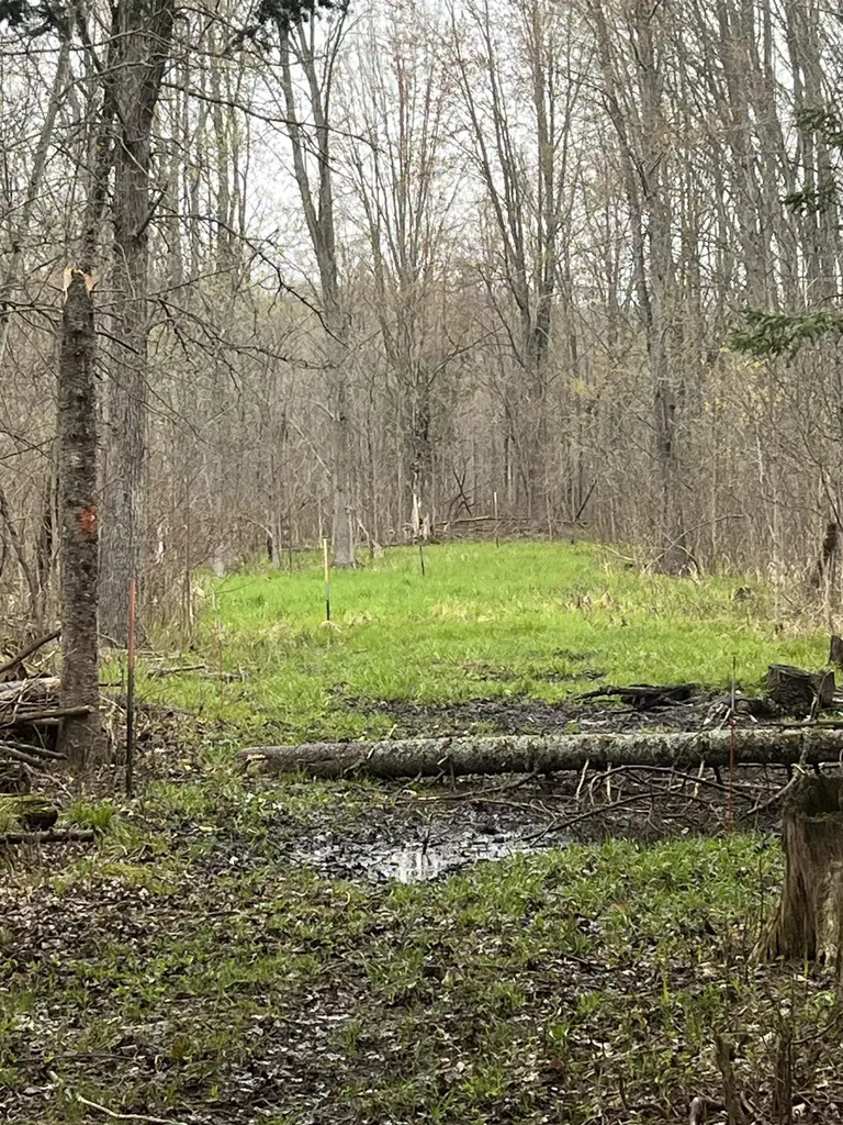 0 Wallen Road Colfax Township MI 49643