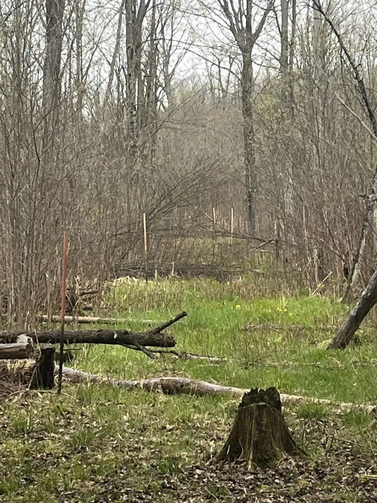 0 Wallen Road Colfax Township MI 49643