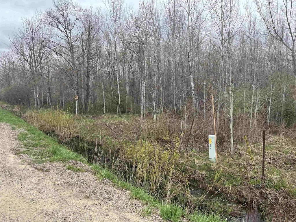 0 Wallen Road Colfax Township MI 49643