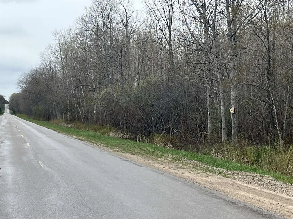 0 Wallen Road Colfax Township MI 49643