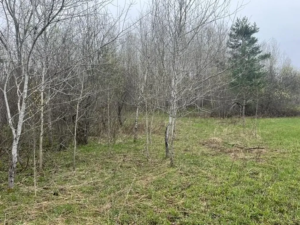 0 Wallen Road Colfax Township MI 49643