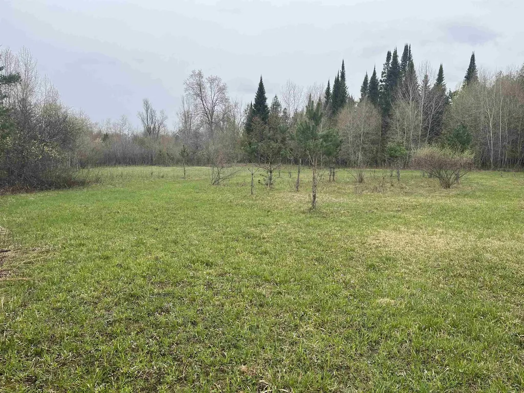 0 Wallen Road Colfax Township MI 49643