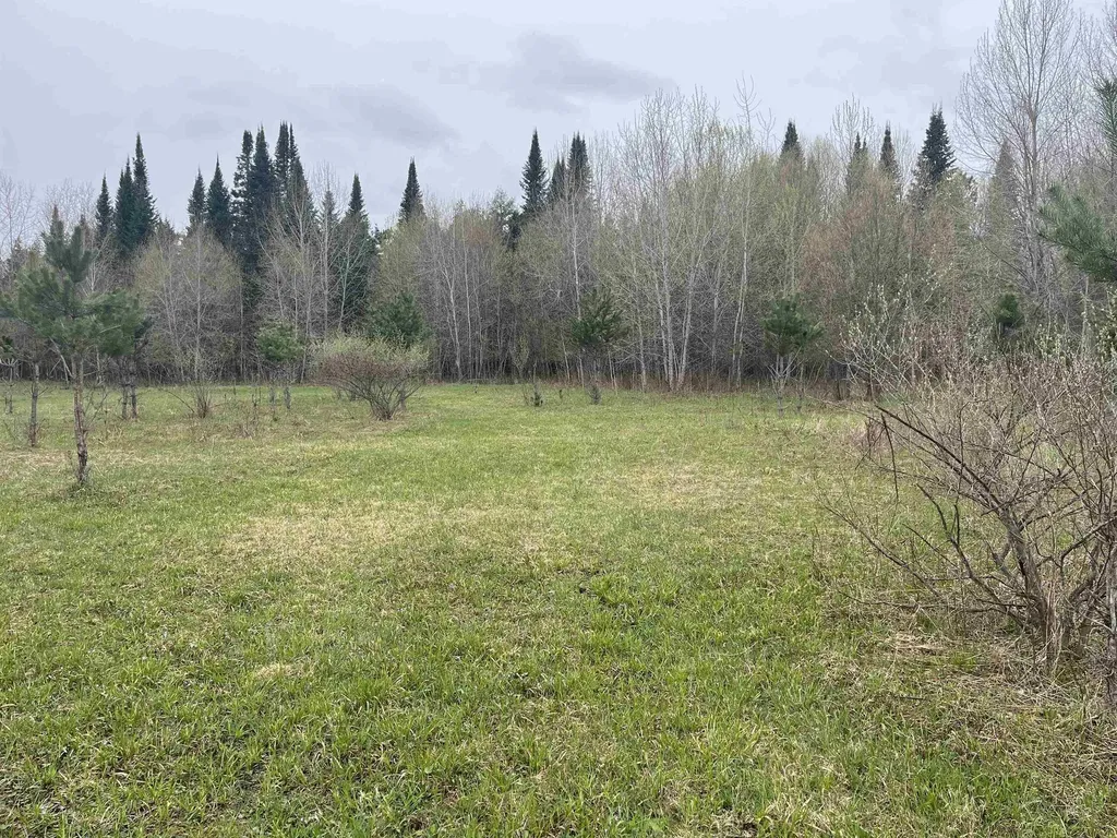 0 Wallen Road Colfax Township MI 49643