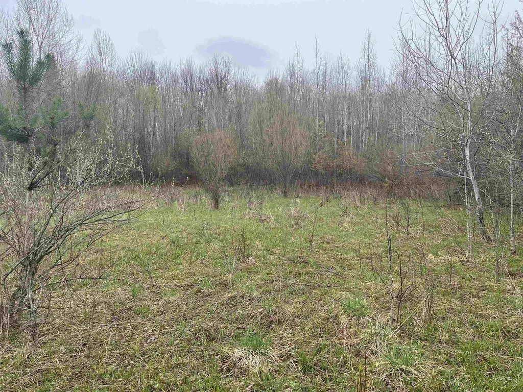 0 Wallen Road Colfax Township MI 49643