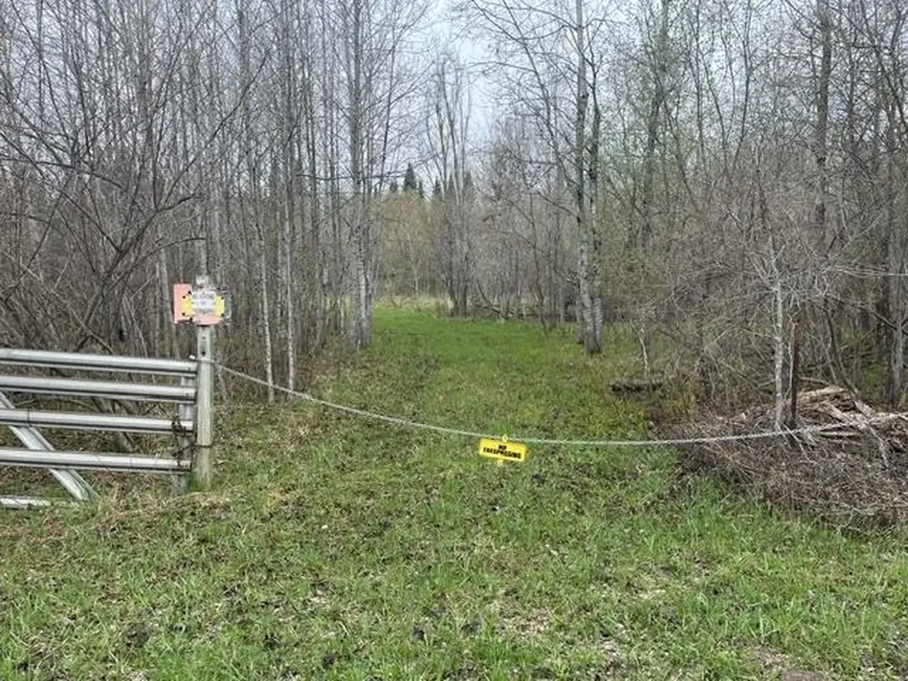 0 Wallen Road Colfax Township MI 49643